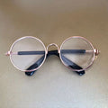 SunPup Protective Dog Goggles