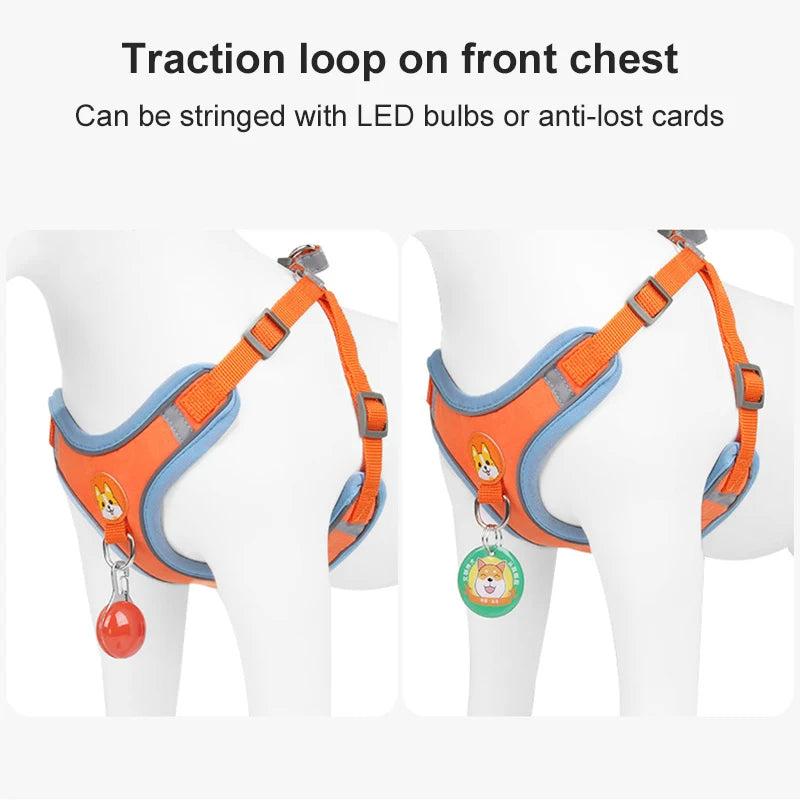 ReflectFit No-Pull Dog Harness & Leash Set
