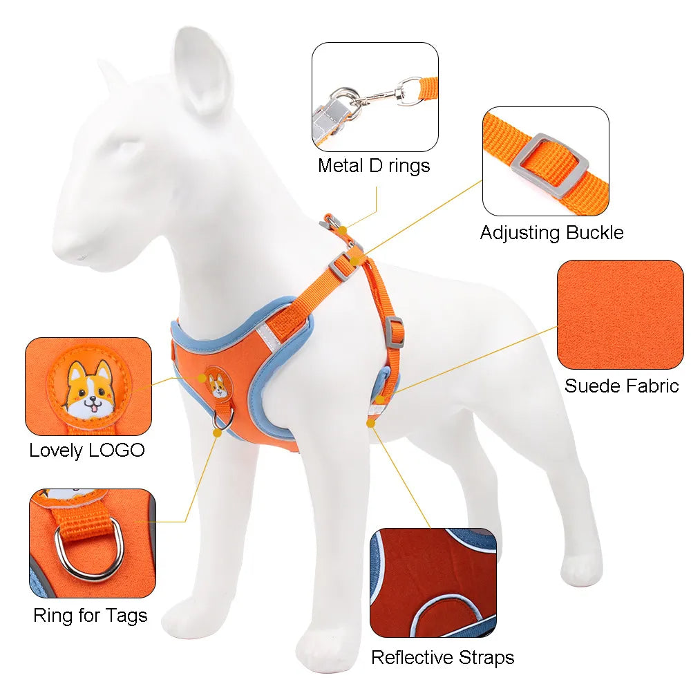ReflectFit No-Pull Dog Harness & Leash Set