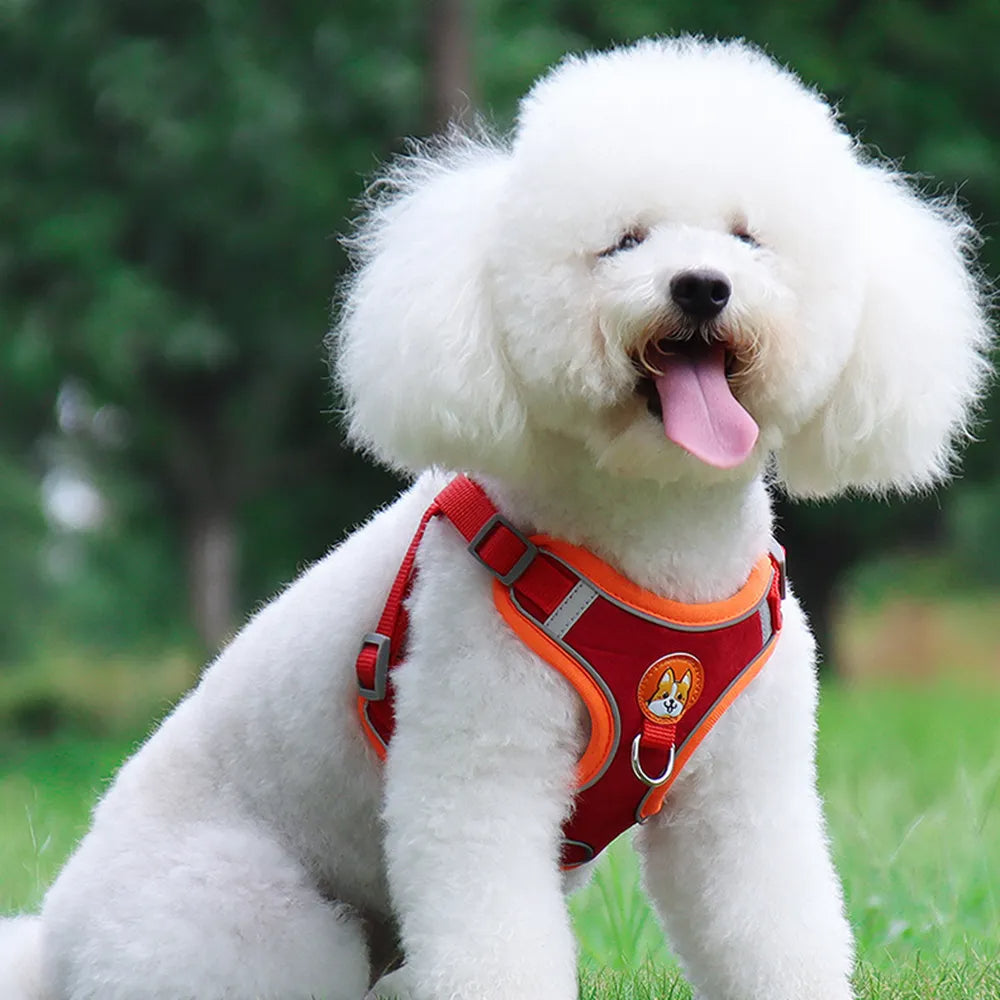 ReflectFit No-Pull Dog Harness & Leash Set