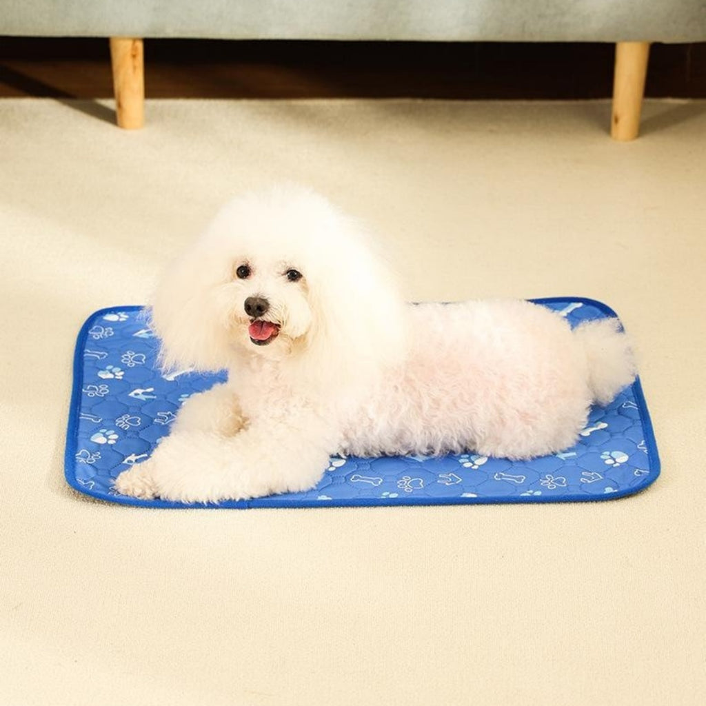 DryStep Washable Dog Training Pads