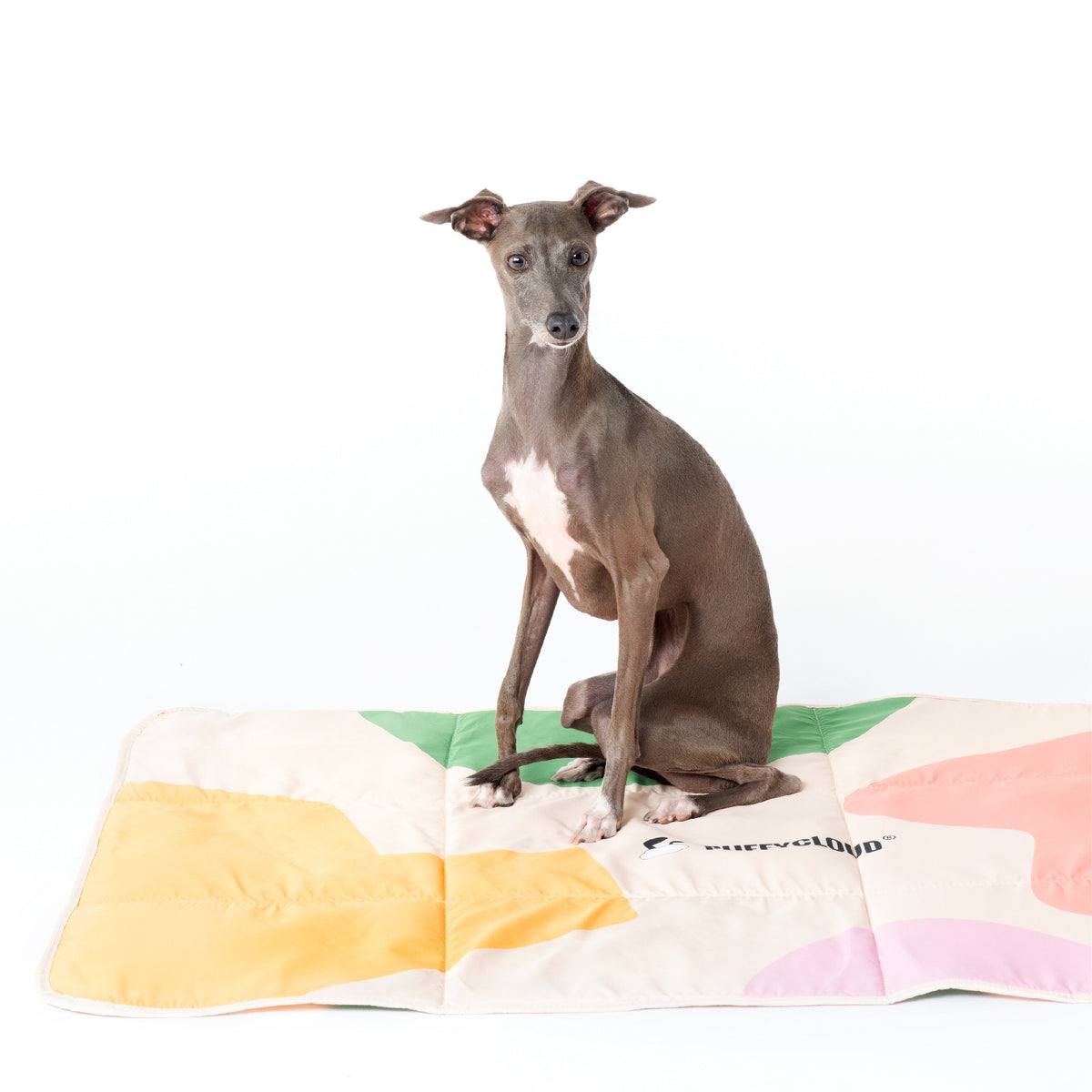 FoldAway Waterproof Dog Travel Mat