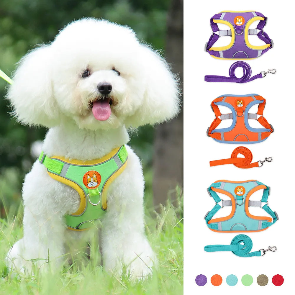 ReflectFit No-Pull Dog Harness & Leash Set