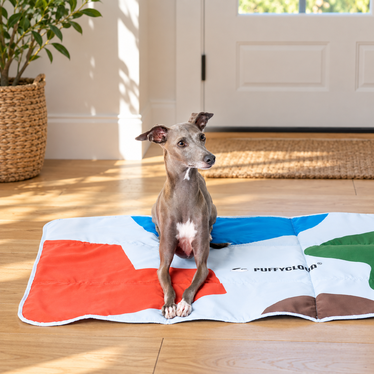 FoldAway colorful thin dog travel mat with a small dog in a home entryway