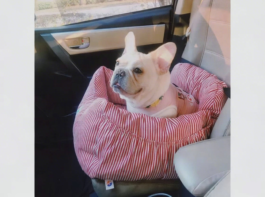 RoadNest Small Dog Car Seat