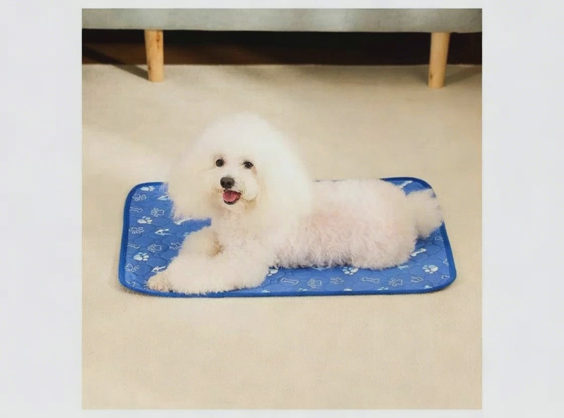 DryStep Washable Dog Training Pads