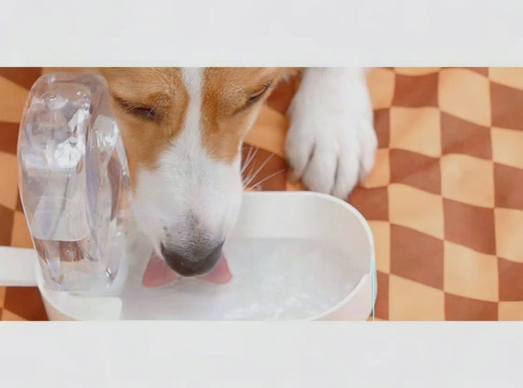 TrailServe 2-in-1 Dog Water & Treat Bottle