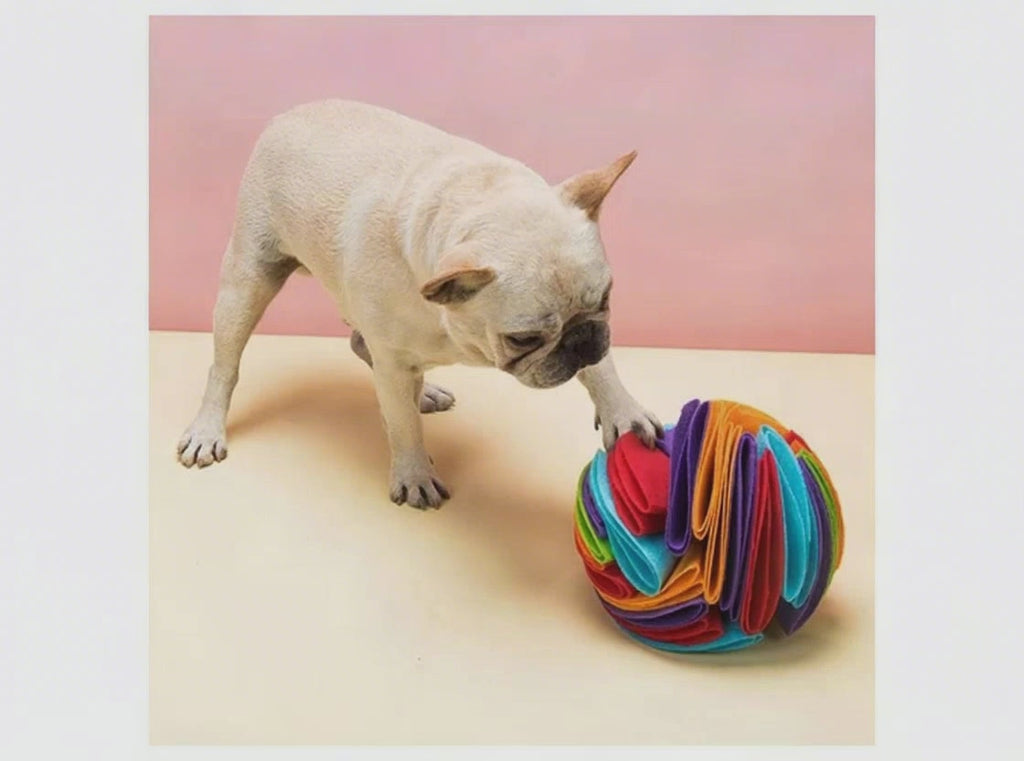 SnuffleSphere Interactive Treat Ball
