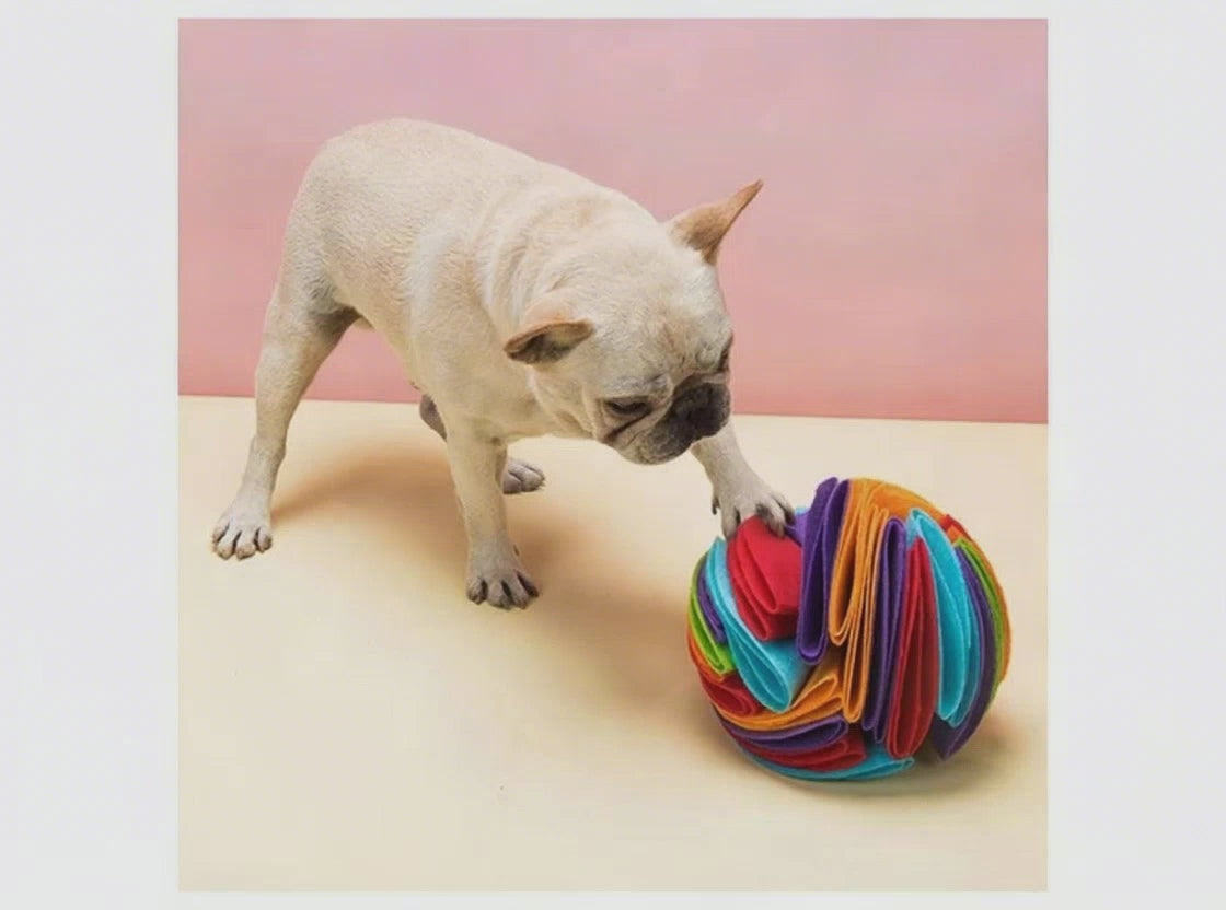 SnuffleSphere Interactive Treat Ball