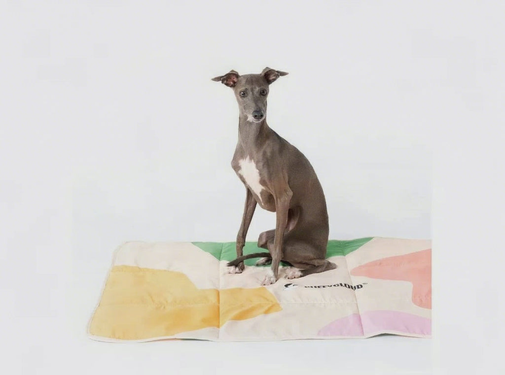 FoldAway Waterproof Dog Travel Mat