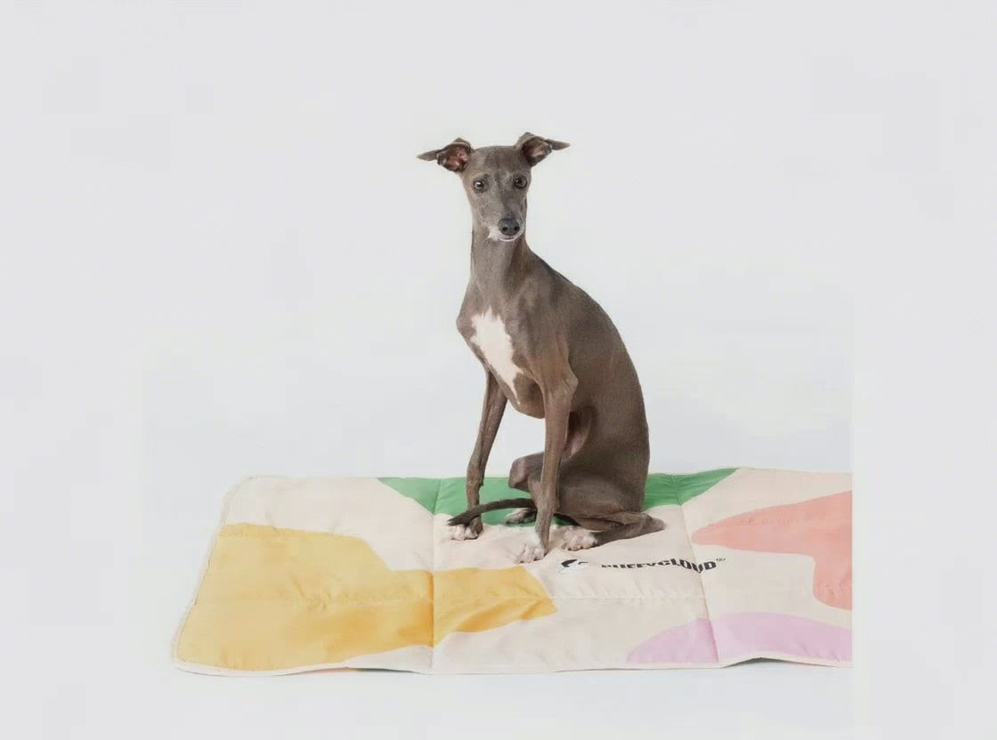 FoldAway Waterproof Dog Travel Mat