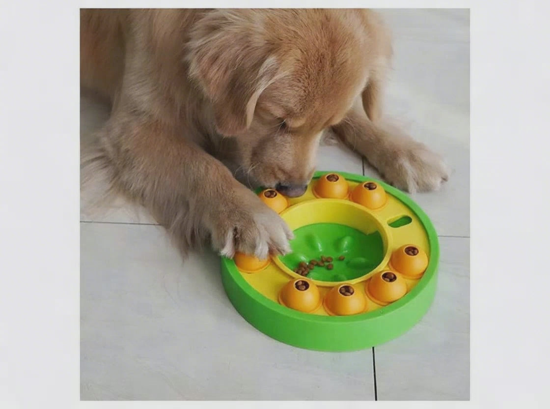 PuzzlePace Slow Feeder Dog Puzzle