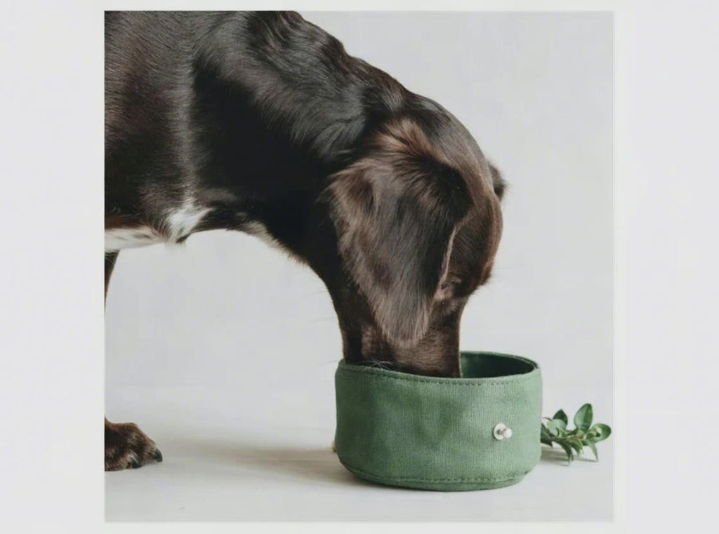 FoldSip Waterproof Travel Dog Bowl