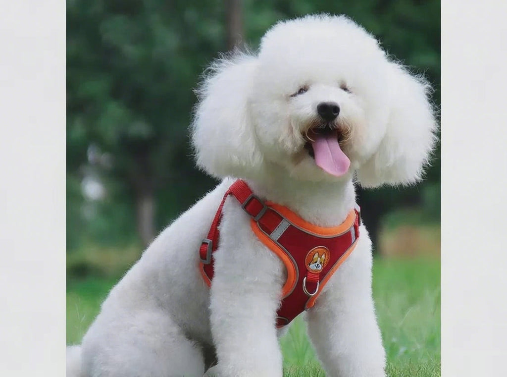 ReflectFit No-Pull Dog Harness & Leash Set